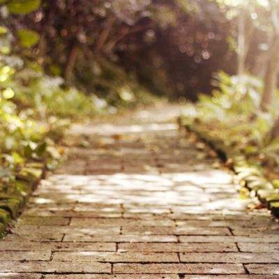 电玩城金鲨银鲨app下载